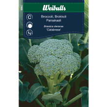 Broccoli 'Calabrese'